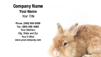 Featured Designs |--| Animal | At230371 | Naphazynths Chanthvongsvi | Pet | Pet Boarding | Pet Sitting | Rabbit