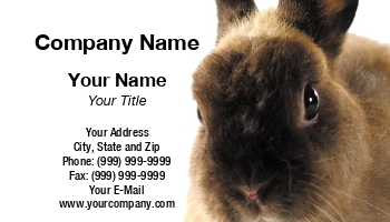 Featured Designs |--| Animal | At230372 | Bunny | Naphazynths Chanthvongsvi | Pet | Pet Food | Rabbit