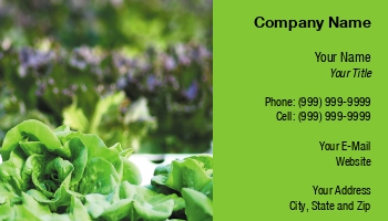 Farm | Featured Designs |--| Agricultural Manager | Agriculture | At230373 | Naphazynths Chanthvongsvi | Vegetable | Vegetation
