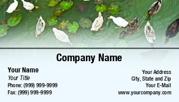 Featured Designs | Garden | Landscaping | Nature | Trades |--| At234523 | Card | Duck | Duck Hunting | Ducks | Gardening | Great | Image | Pond | Tim Hester
