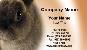 Farm | Featured Designs |--| Animal Shelter | At230588 | Doctor | Naphazynths Chanthvongsvi | Pet | Rabbit | Vetenarian