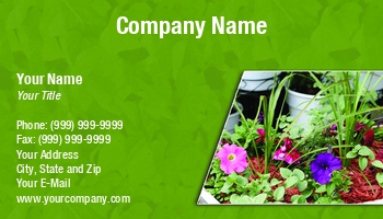 Featured Designs |--| At235434 | Charlene Bayerle | Plant