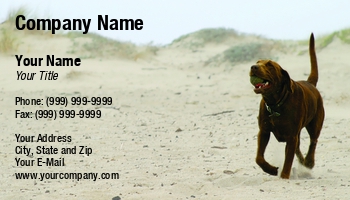 Beach | Featured Designs | Nature |--| Active | Activity | Animal | At235679 | Ball | Boxer | Breed | Brown | Business | Canine | Card | Care | Catch | Dog | Dog Daycare | Dog Handler | Dog Trainer | Dog Walking Service | Dogs | Exercise | Fetch | Fetching | Friend | Friends | Friendship | Fun | Fur | Great | Happiness | Henrik Lehnerer | Image | Involved | Joy | Joyful | Keywords | Mood | Motion | Mouth | Outdoors | Pet | Pet Sitter | Pet Sitting | Pets | Play | Playful | Playing | Retrieve | Run | Sand | Sandy | Tags