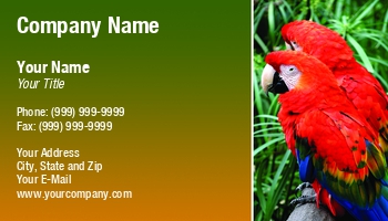 Animals | Featured Designs | Nature |--| Amazon | Animal | Animal Care | Animal Rescue | Animal Shelter | Ara | At235709 | Aviary | Bird | Business | Card | Colorful | Colourful | Colourfull | Exotic | Exotic Pets | Great | Henrik Lehnerer | Image | Keywords | Macaw | Parrot | Pets | Rainforest | Red | Scarlet | Subtropical | Tags | Tropical | Tropical Birds | Wildlife | Zoo