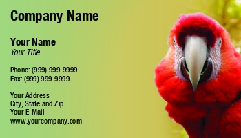 Animals | Featured Designs | Nature | Wild |--| Amazon | America | Animal | Ara | At235756 | Barbara | Beak | Bird | Bright | Close | Closeup | Colored | Colourful | Colourfull | Exotic Animals | Exotic Pets | Head | Headshot | Henrik Lehnerer | Image | Keywords | Macaw | Natural | Parrot | Rainforest | Red | Scarlet | Species | Subtropical | Tags | Tropical | Wildlife | Wildlife Biologist | Zoo