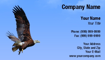 Featured Designs |--| At235767 | Background | Bird | Bird Photography | Blue | Eagle | Flying | Image | Perry Correll | Sky | Wildlife Biologist