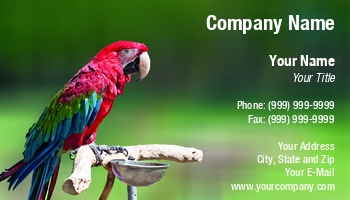 Featured Designs |--| Animal Care | At235885 | Aviary | Bird | Business | Card | Colourful | Exotic | Exotic Pets | Great | Image | Macaw | Oleg Zabielin | Parrot | Pet Food | Pet Hotel | Pet Shop | Pets | Tropical Birds | Veterinary Assistant | Veterinary Technician | Wildlife