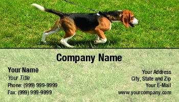 Featured Designs |--| At236875 | Beagle | Bruce Macqueen | Canine | Card | Care | Cute Dog | Dog | Dog Walker | Dog Walking Service | Domestic Animals | Great | Image | Involved | Lawn | Pet | Pet Exercise | Petsitting | Service | Walking