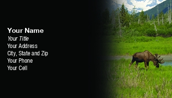 Featured Designs | Nature |--| Absolutely | Alaska | At230825 | Common | Diana Jo Marmont | Eating | Favorite | Forms | Girdwood | Grass | Lake | Lived | Loyal Order Of Moose | Months | Moose | Native | Photograph | Seen | Spring | Summer | Taken | Varieties | Wildlife