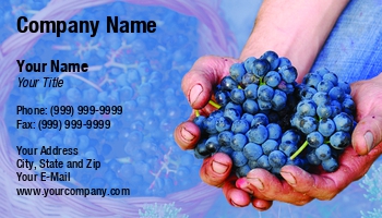 Featured Designs | Fruit | Trades |--| Agricultural Manager | Agricultural Worker | At238919 | Farmer | Fresh | Grapes | Great | Gustavo Andrade | Hand | Harvest | Holding | Image | Option | Person | Vineyard | Vineyards | Winery