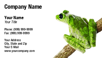 Featured Designs | Nature | Wild |--| Animal | At238929 | Dealing | Frog | Green | Gustavo Andrade | Image | Option | Research | Science | Veterinary | Wild Life