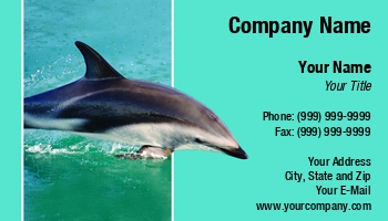 Featured Designs | Nature | Ocean |--| Above | Aquariums | At239417 | Biologists | Captured | Dolphin | Dolphins | Eric Middelkoop | Fish | Image | Ocean Biologists | Oceanography | Option | Sea Life | Water