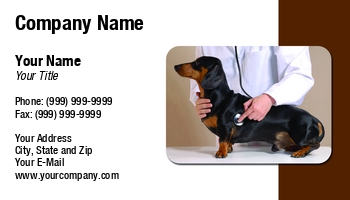 Animals | Featured Designs | Veterinarian |--| Animal Doctor | Assistant | At239495 | Care | Clinics | Dog | Dog Care | Examination | Examining | Gustavo Andrade | Image | Medical Practitioner | Stethoscope | Technician | Veterinary | Veterinary Technician