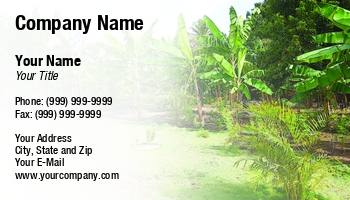 Farm | Featured Designs |--| At240138 | Cindy Farmer | Greenhouse | Image | Plantation | Plantations | Tropical | Vegetation