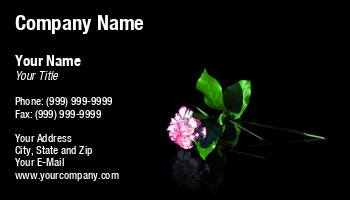 Featured Designs | Floral | Nature |--| At241045 | Beautiful | Blooming | Blossom | Botanical | Clove | Flower | Fresh | Image | Leaves | Marian | Petal | Pink | Romantic | Rose | Stem | Valentine