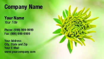 Featured Designs | Nature | Trades |--| At241171 | Blooming | Blossom | Bright | Close | Closeup | Dereje Belachew | Flower | Photograph | Yellow