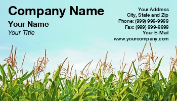 Featured Designs |--| Agriculture | At241181 | Corn | Cornfield | Crop | Farming | Field | Image | Maize | Niels Quist Petersen | Organic | Production | Stems