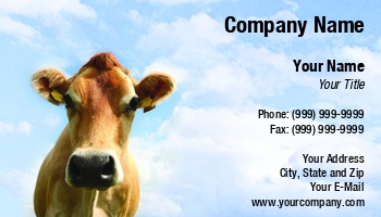 Featured Designs |--| Agriculture | At241182 | Beef | Breed | Cattle | Close | Cow | Dairy | Farm Animal | Image | Jersey | Jersey Cow | Livestock | Meat | Niels Quist Petersen | Rural