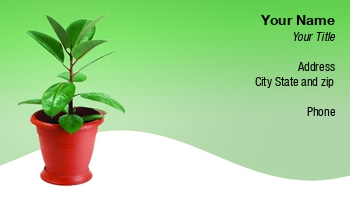 Featured Designs | Nature |--| At241446 | Botany | Freshness | Houseplant | Image | Leaf | Mamuka Gotsiridze | Plant | Plant Nursery | Plant Watering Service | Pot