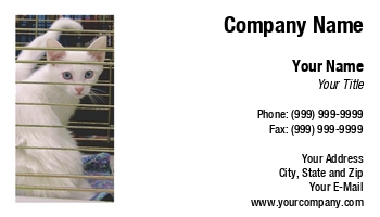 Featured Designs |--| Adoption | Animal Rescue | Animal Shelter | Assistance | At241692 | Cat | Cats | Darla Hallmark | Grills | Help | Image | Pet Grooming Supplies | Pets | Shelter | Siamese Cat | Spay Neuter