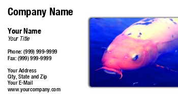 Aquatic | Featured Designs | Nature | Sports | Swimming |--| Aquarium Maintenance | Aquariums | At241716 | Blue | Colourful | Cute | Fish | Fish Hatchery | Golden | Goldfish | Henrik Lehnerer | Image | Japanese | Koi | Life | Marine | Outdoors | Pet | Pond | Pool