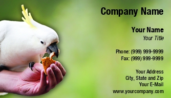 Featured Designs |--| At240225 | Bird Photography | Bird Watching | Cacatua | Cockatoo | Exotic Pets | Feed Consultant | Feed Dealer | Galerita | Parrot | Pet | Pet Food | Tim Hester | Veterinary Technician
