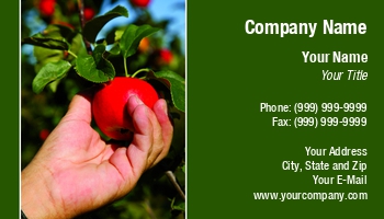 Featured Designs |--| Agricultural Science Teacher | Agricultural Worker | Agriculture | Apples | At242088 | Branch | Branches | Crop | Farming | Fruit Picker | Fruit-picking | Hand | Healthy | Image | Leaves | Niels Quist Petersen | Person | Picking | Tree
