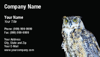 Featured Designs | Wild |--| Animal | At242704 | Bird | Bird Photography | Card | Darryl Brooks | Great | Image | Owl | Raptor | Watching | Wildlife
