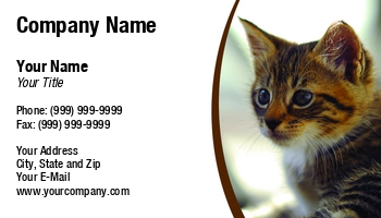 Featured Designs |--| Alex Grichenko | Animal | At243172 | Breed | Business | Cat | Close | Closeup | Cute | Domesticated | Great | Image | Kitty | Mammal | Option | Pedigree | Pet | Pet Portrait | Photographers | Resting | Siamese