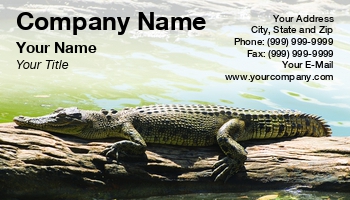 Featured Designs | Wild |--| Animal | At243308 | Australia | Crocodile | Fritz Hiersche | Image | Reptile | Resting | Sun | Wildlife Biologist | Zoologist | Zoology