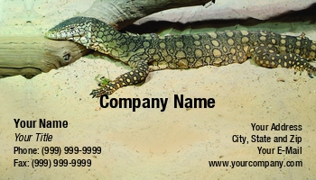 Featured Designs |--| Animal | At243309 | Australia | Exotic Pet | Fritz Hiersche | Image | Lizard | Monitor | Reptile | Zoo | Zoologist