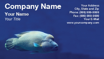 Featured Designs | Nature | Ocean |--| Aquarium Maintenance | At243581 | Big Fish | Blue | Colorful | Deep | Exotic | Fish | Fish Hatchery | Image | Jolanta Mayerberg | Reef | Salt Water | Saltwater | Sea Life | Tropical | Underwater | Water | Wildlife