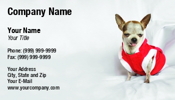 Animals | Domestic | Featured Designs |--| Adorable | Animal | At243838 | Breed | Canine | Chihuahua | Costume | Cute | Doggy | Dressed | Funny | Image | Mammal | Pet Grooming Supplies | Pet Portrait | Puppy | Purebred | Studio | Suphatthra China