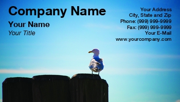 Countryside | Featured Designs | Nature |--| At243950 | Bird | Blue | Column | Daylight | Feather | Image | Jose R Gomez | Pillar | Seagull | Sitting | Summer | Wooden