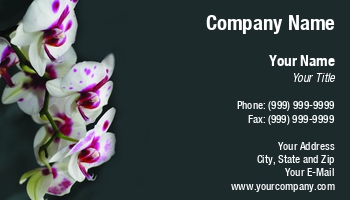 Beauty | Featured Designs | Floral | Nature |--| At243989 | Bloom | Blooming | Blossom | Botany | Card | Decorative | Delicate | Designers | Elegant | Exotic | Flora | Florist | Florists | Flower | Flowers | Fresh | Great | Growers | Image | Jolanta Mayerberg | Lover | Lovers | Natural | Nursery | Orchid | Orchids | Pansy | Perfect | Petal | Phalaenopsis | Phalaenopsis Orchid | Pin | Plant | Plants | Romantic | Spring | White