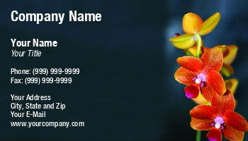 Beauty | Featured Designs | Floral | Nature |--| At243990 | Bloom | Blooming | Blossom | Botany | Card | Decorative | Delicate | Designers | Elegant | Exotic | Flora | Florist | Florists | Flower | Flowers | Fresh | Great | Growers | Image | Jolanta Mayerberg | Lover | Lovers | Natural | Nursery | Orchid | Orchids | Pansy | Perfect | Petal | Phalaenopsis Orchid | Plant | Plants | Red | Romantic | Spring | Yellow