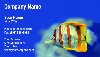 Featured Designs | Nature | Ocean |--| Animal | Aquarium | Aquarium Maintenance | Aquariums | At244162 | Business | Card | Colorful | Deep | Exotic | Fish | Fish Hatchery | Great | Image | Jolanta Mayerberg | Pterophyllum | Reef | Saltwater' | Sea | Tropical | Tropical Fish Servicing | Underwater | Water