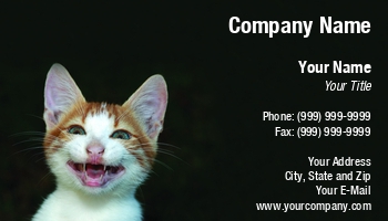 Featured Designs |--| Animal | At244328 | Background | Black | Cat | Fur | Image | Jolanta Mayerberg | Kitty | Mamma | Pet Food | Pet Portrait | Smiling | Veterinary Assistant | Veterinary Technician