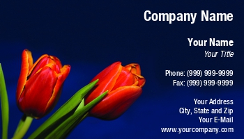 Featured Designs |--| At244336 | Background | Bloom | Blossom | Botany | Bouquet | Dark | Florist | Flower | Flowers | Holiday | Image | Jolanta Mayerberg | Leaf | Love | Red | Romantic | Springtime | Stem | Tulip | Tulips | Valentine