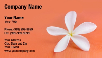 Featured Designs |--| Alex Bramwell | Aroma | Aromatherapy | At244415 | Body | Decoration | Flower | Skin | Spa | Therapy | Wax