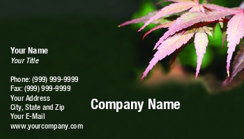 Featured Designs | Floral | Nature | Professional |--| At244434 | Background | Biology | Booklet | Botanical | Botany | Decorative | Delicate | Florist | Gardening | Green | Image | Jolanta Mayerberg | Leaf | Leaves | Plant | Season | Stem | Tree