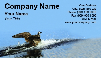 Featured Designs | Nature |--| Animal | At244435 | Beak | Bird | Birds | Blue | Fauna | Feather | Feathers | Geese | Goose | Image | Jolanta Mayerberg | Lakes | Natural | Neck | Summer | Water | Waterfowl | Wildlife | Wings