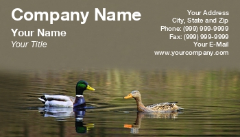 Featured Designs | Sports | Swimming | Wild |--| Animal | At244447 | Beak | Bird | Birds | Duck | Duck Hunting | Ducks | Fauna | Feathers | Flora And Fauna | Image | Jolanta Mayerberg | Lake | Lakes | Mirroring | Natural | Photography | Reflection | Relationship | Waterfowl | Wings