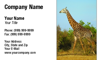 Featured Designs | Professional | Wild |--| Animal | At244603 | Business | Card | Endangered | Fritz Hiersche | Giraffe | Great | Herbivore | Image | Jungle Safari | Mammal | Nationalpark | Natur | Predator | Saeugetier | Savanna | Steppe | Tiere | Tsavo Nationalpark | Vertikal | Wildlife | Wildlife Photography | Wildtiere | Zoo