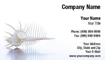 Aquatic | Beach | Featured Designs | Nature |--| Alex Bramwell | Animal | At244720 | Ecology | Image | Marine | Natural | Sealife | Seashell | Seashells | Shell | Spiky | Wildlife