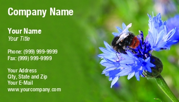 Featured Designs | Garden | Nature | Trades |--| Animal | At244794 | Bee | Beetle | Biological Science Teacher | Biology | Bumblebee | Entomology | Fauna | Flora And Fauna | Flower | Fly | Image | Insect | Jolanta Mayerberg | Leaf | Macro | Natural | Plant | Sitting | Wildlife | Wing