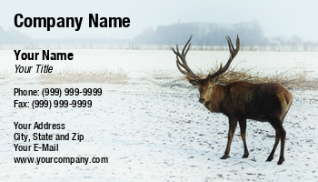 Featured Designs | Nature | Wild |--| Animal | At244962 | Buck | Cervus Elaphus | Deer | Field | Fritz Hiersche | Geweih | Hirsch | Hunting | Hunting Guide | Image | Maennlicher Hirsch | Pet | Rothirsch | Rotwild | Taxidermist | Taxidermy | Tiere | Tierwelt | Trophy Hunting | Whitetail | Wildlife | Winter | Zoo | Zoologist