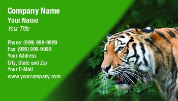 Featured Designs | Nature |--| Aggression | Angry | Animal | At244979 | Beast | Carnivore | Dangerous | Feline | Hunting | Image | Jolanta Mayerberg | Jungle | Mammal | Panthera Tigris Altaica | Safari | Striped | Stripes | Tiger | Wildlife | Zoo