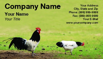 Featured Designs | Hospitality |--| Animal | Animal Husbandry | At245057 | Beak | Bird | Bouncing | Chicken | Cock | Feather | Fluffy | Grass | Image | Jolanta Mayerberg | Morning Alarm | Non Vegetarian | Pet | Pet Food | Poultry | Wing