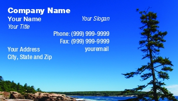 Beach | Featured Designs | Nature | Ocean | Professional | Travel |--| Acadia | At245117 | Coast | Darryl Brooks | Environment | Environmental | Flowers | Image | Maine | National | Park | Pines | Rocky | Surf | Tourism | Trees